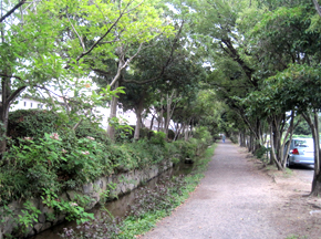 休日の散歩